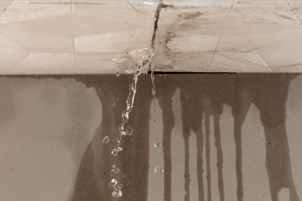 Professional Water Extraction technician working in Newton, NJ